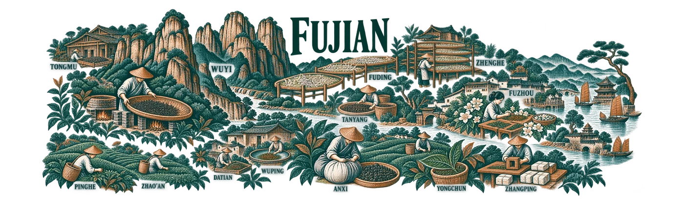 Fujian — Leaf Between Rock and Sea
